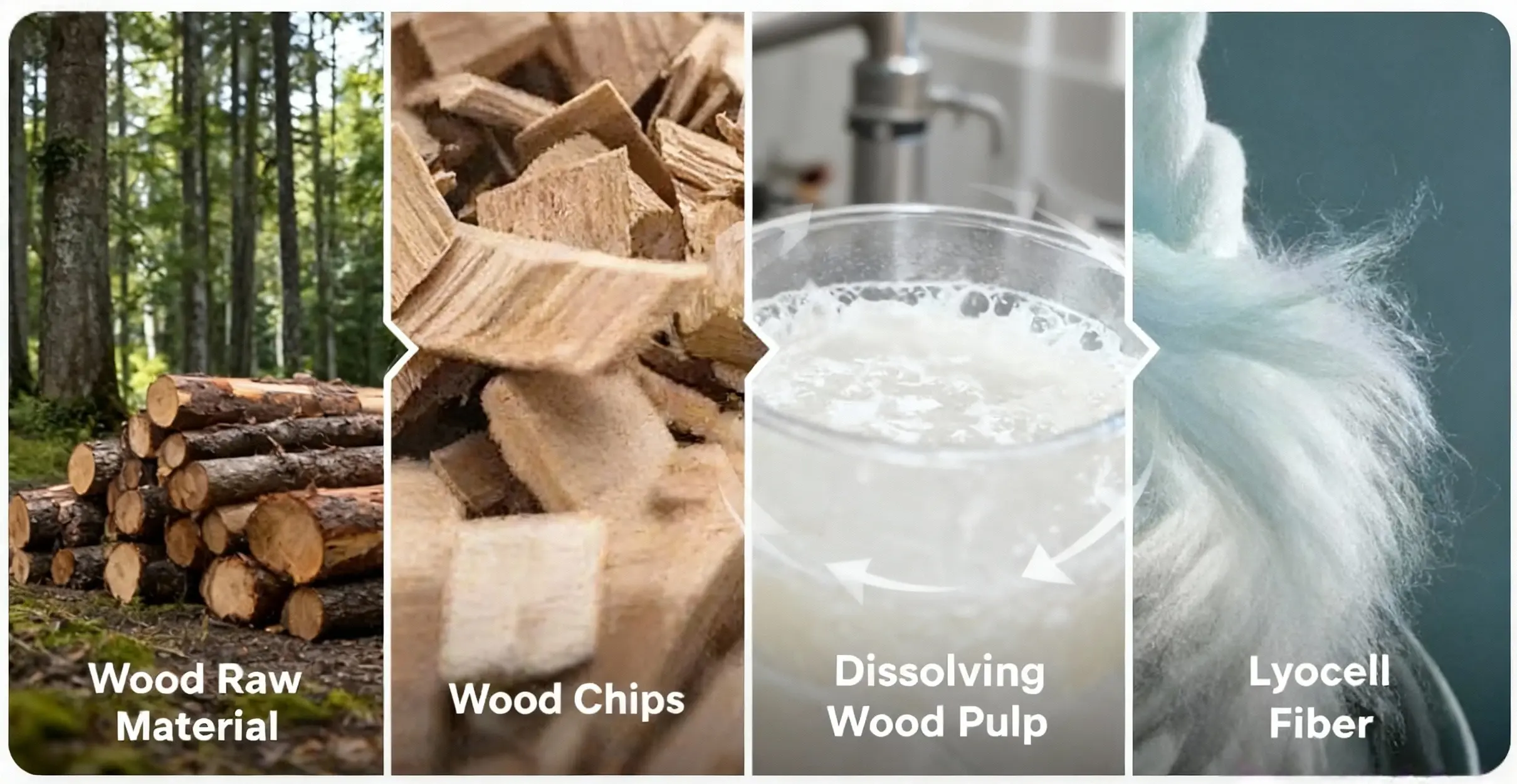 lyocell-production-process-closed-loop-pulp-to-fiber Lyocell production process diagram showing wood pulp to fiber in a closed-loop system